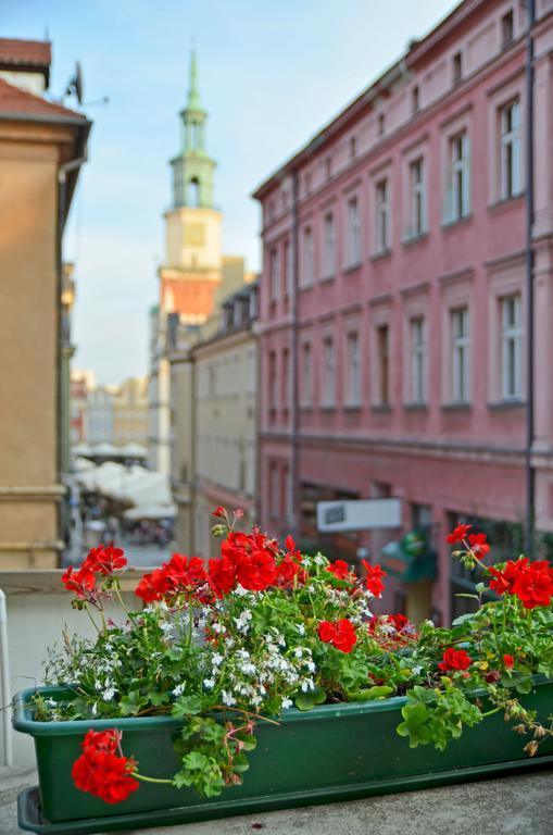 Hill Inn Poznań Rom bilde